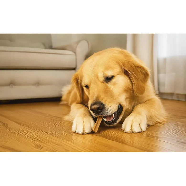 Dental sticks S