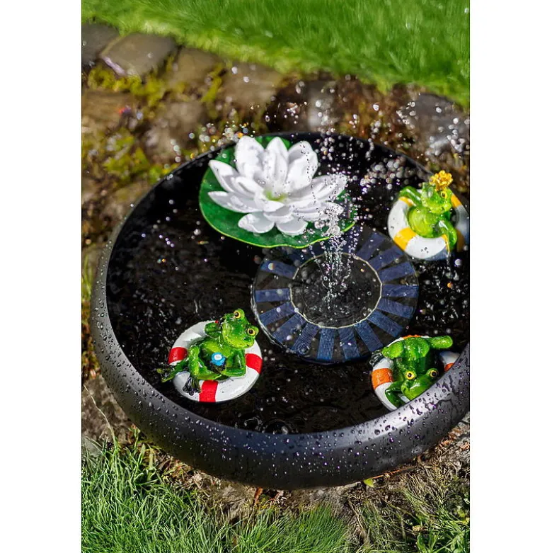 Lotus flyteblomst
