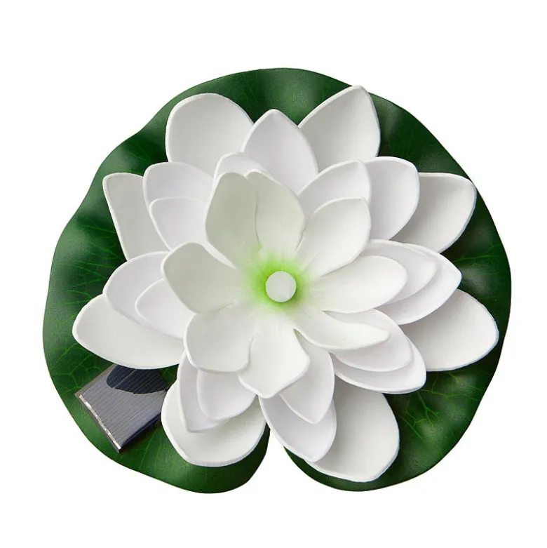 Lotus flyteblomst