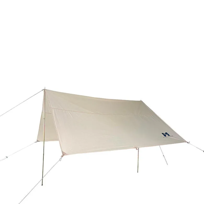 Tarp